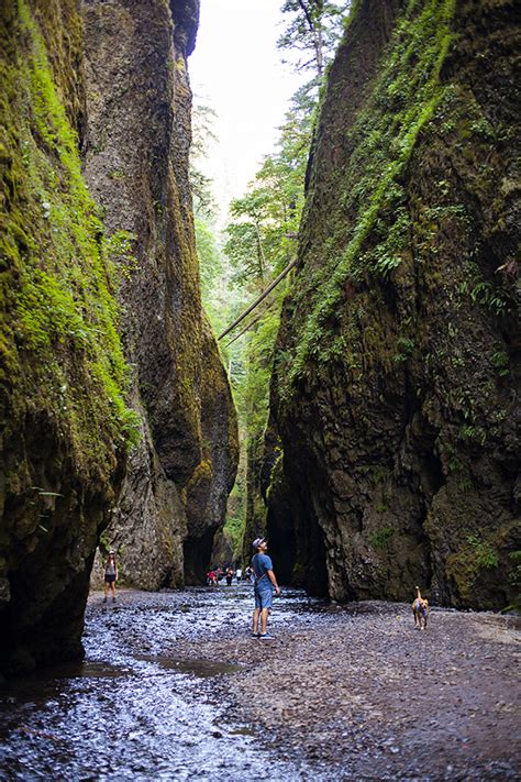 Looking for campgrounds near columbia river gorge, oregon? 5 Must-See Spots along the Columbia River Gorge