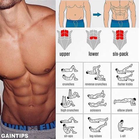 Stay safe and build up ur body | Karın çalıştırma, Karın kası