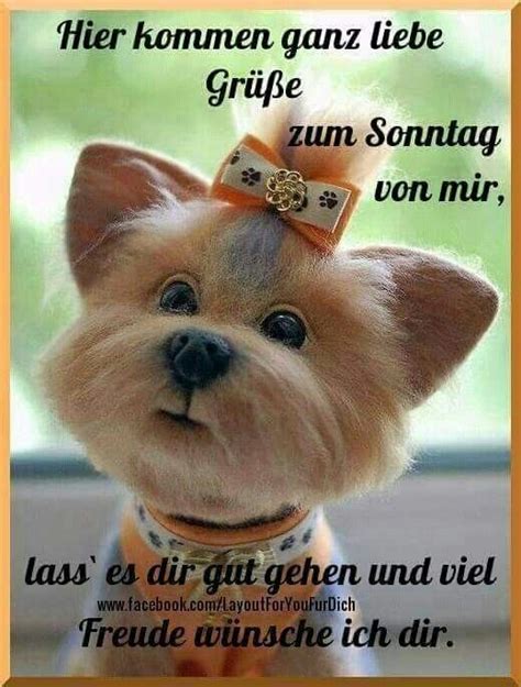 Sch nen abend bilder, gb pics, gb bilder und g stebuchbilder.jetzt neu, alles auch bei facebook posten. Schönen faulen sonntag | Bilder und Sprüche für Whatsapp ...
