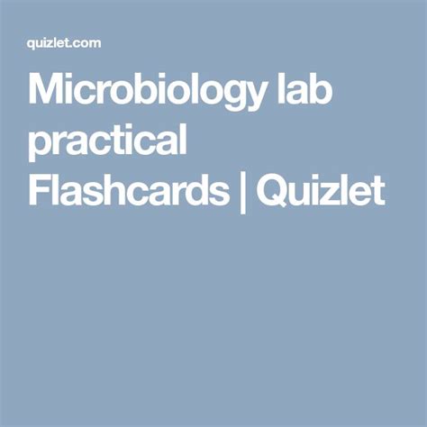Microbiology Lab Practical Flashcards Quizlet Microbiology Lab