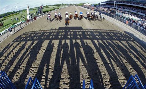 Life At The Starting Gate At Belmont Park The New York Times