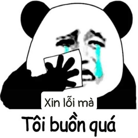 99 ảnh Meme Xin Lỗi Người Yêu Cute đáng Yêu Hài Hước
