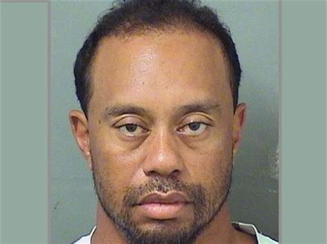 tiger woods blames medications for his arrest on dui charge the blade