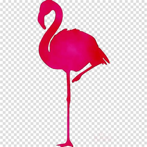 Flamingo Cartoon Clipart Wall Design Art Transparent