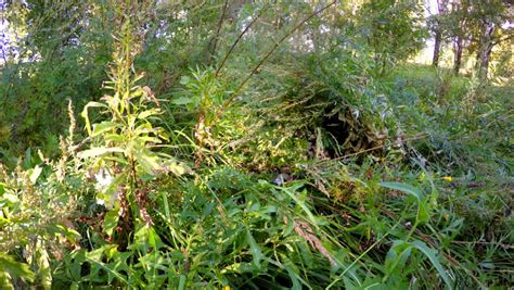 Masked Sniper In Camouflage Aim From Assault Rifle In Forestclose Up