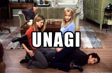 Here are 10 memes celebrating everyone's favorite composer of the 'smelly cat' song unagi-friends-phoebe-rachel-ross - Series & TV