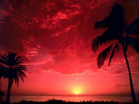 South Pacific Sunset Wallpapers Hd Wallpapers Id 1505