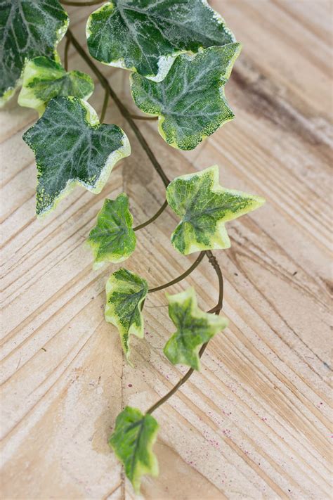 Check spelling or type a new query. Silk English Ivy Hanging Wreath with 2FT Trailer