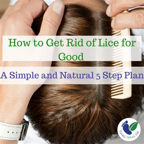 A 5 Step Plan For Natural Lice Treatment That Will Kill Lice For Good