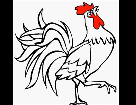 Sebenarnya sketsa merupakan suatu kerangka menggambar. Kumpulan Sketsa Ayam dan Langkah Langkah Cara Menggambar Ayam