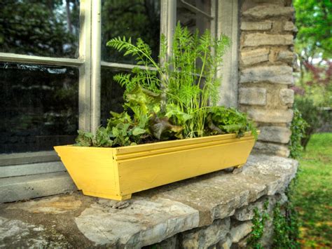 Container selection for growing carrots: Grow a Window Box Vegetable Garden | how-tos | DIY