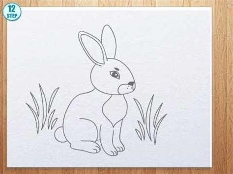 Install and start coloring now! How to draw bunny - YouTube