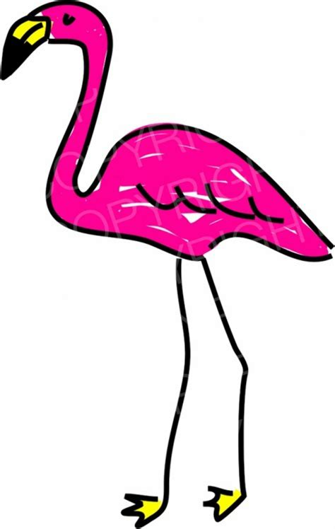 Colorful Flamingo Clipart Beautifulhrom