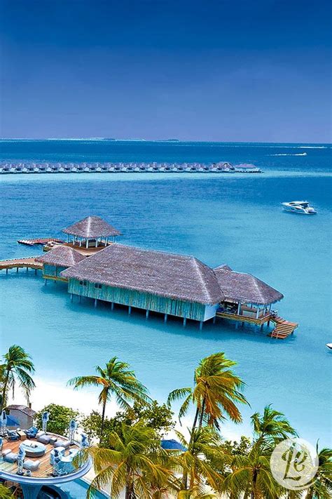 Finolhu All Inclusive Overwater Maldives Luxury I 5 Nights In An