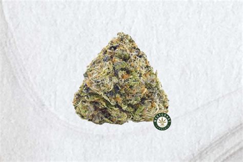 Gelato Weed Strain Review Origin Effects And Health Benefits