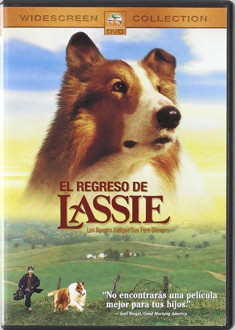 El Regreso De Lassie Dvd Amazones June Lockhart Hugh Reilly Jon