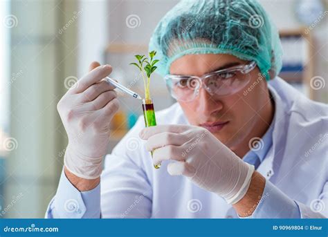 The Biotechnology Scientist Working In The Lab Stock Photo Image Of