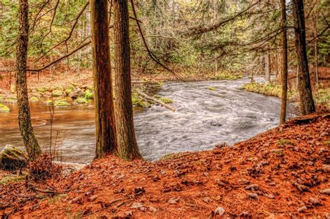 Prairie River By Fallen Needles Photograph By Dale Kauzlaric Fine Art