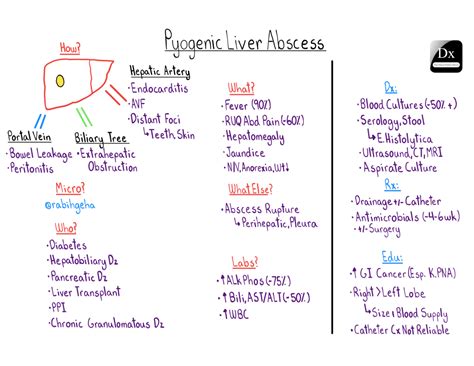 Pyogenic Liver Abscess The Clinical Problem Solvers