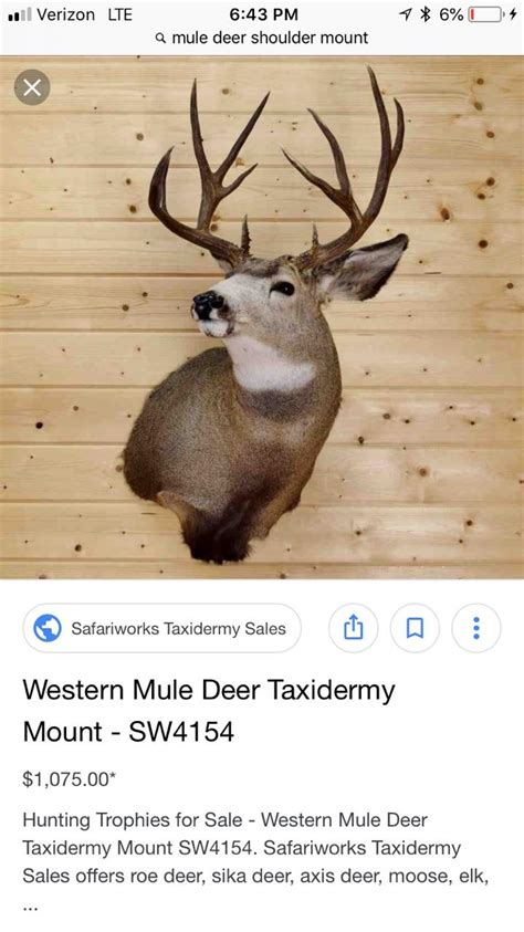 Looking For Mule Deer Form Head Up Forum