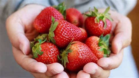Strawberries 101 Nutrition Facts And Health Benefits