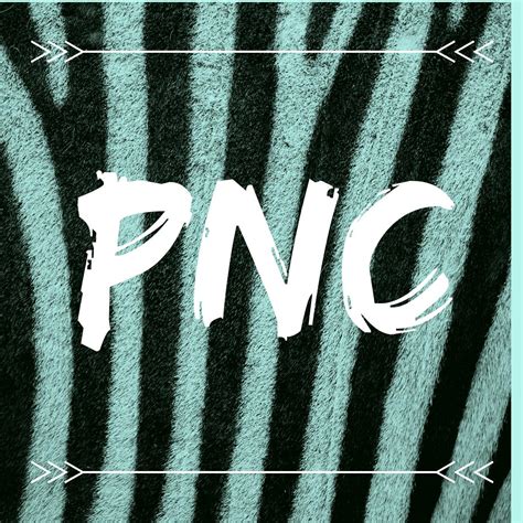 O Que Significa Pnc
