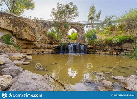Ancient Kantar Bridge Over The Harod Stream With Eucalyptus Trees