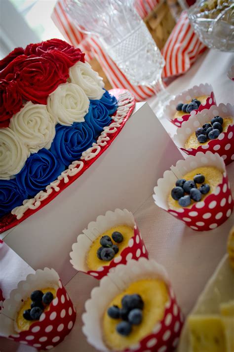 Ellas 9th Birthday Party All American Democratic Theme In Light Of