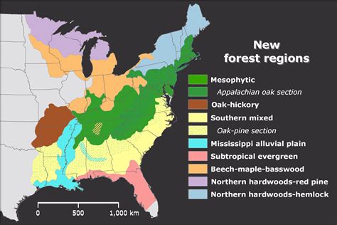 The temperate coniferous forests terrestrial biome, and the ecoregions and ecosystems around the world within it. Eastern Deciduous Forest (U.S. National Park Service)
