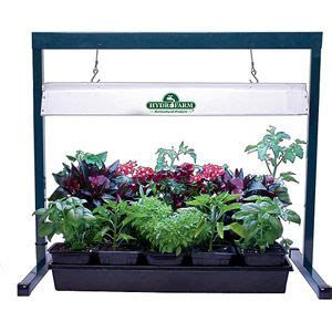 Ipower glledxjmps4f 36w 4 feet led light stand rack for seed starting plant growing, the only isolated driver design for safety assurance, green. Jump Start 2 Foot Grow Light Kit - 24W - Walmart.com ...