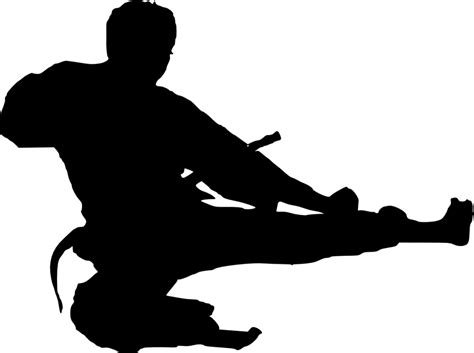 14 Karate Silhouette Png Transparent