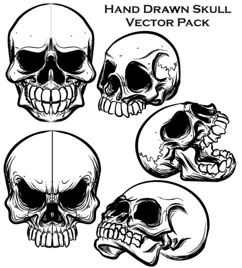 Hand Drawn Skull Free Illustrator Vector Pack Download Free Vector