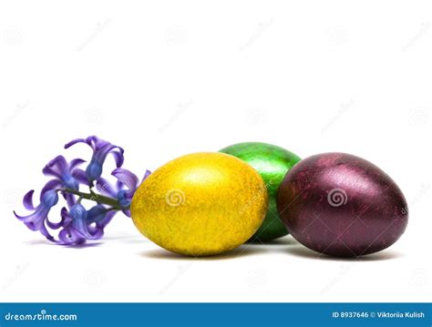 Easter Egg With Flowers Stock Photo Image Of Eggs Isolate 8937646