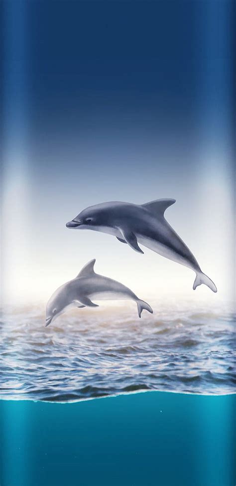 Aggregate More Than 80 Dolphin Iphone Wallpaper Best Incdgdbentre