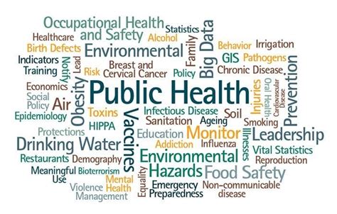 Best Mph Programs Masters In Public Health