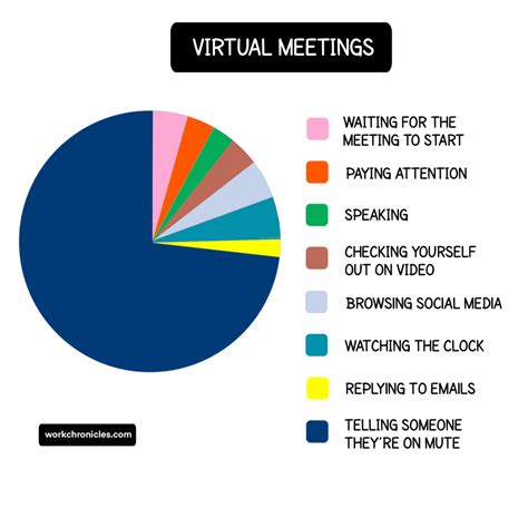 Virtual Meeting Pie Chart