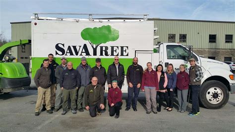 Tree Service And Lawn Care Certified Arborist Savatree Bedford Ny
