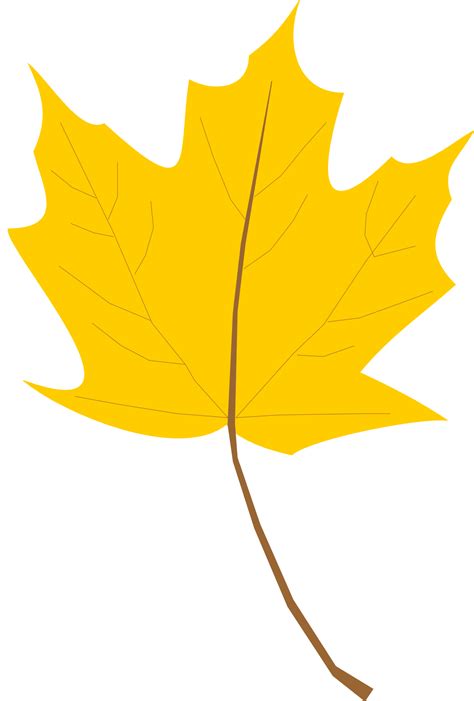 Free Photo Yellow Leaf Autumn Closeup Ecology Free Download Jooinn