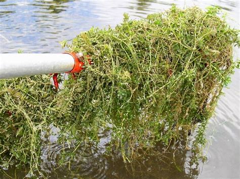 It is set up by the pond. Consultation Services, water testing, help with aeration,