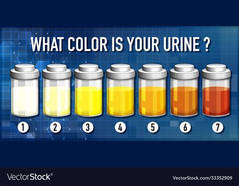 Urine Color Chart Royalty Free Vector Image VectorStock