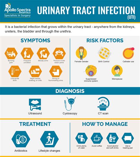 What Is Uti Urinary Tract Infection How It Is Diagnosed