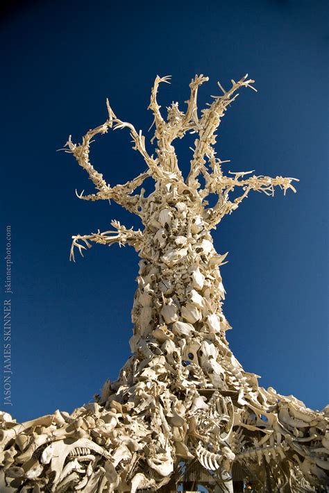 Bone Tree The Bone Tree By Dana Albany Originally Created Flickr