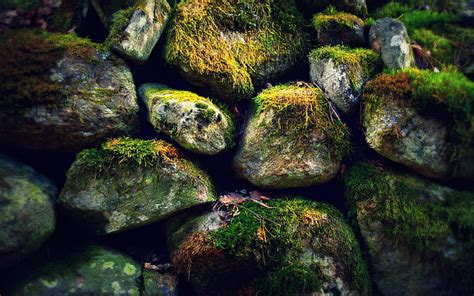 Hd Wallpaper Rocks Stones Moss Hd Grey And Green Stones Nature