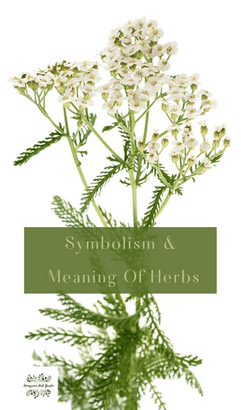 Symbolism Of 30 Popular Herbs Explained Homegrown Herb Garden