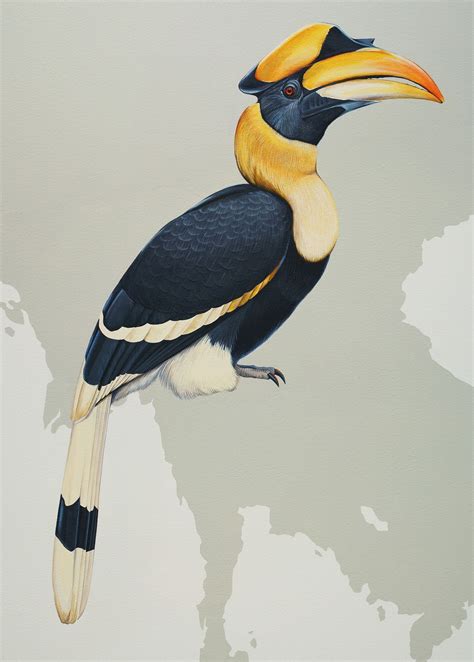 Jane Kims Bird Mural Published 2015 Bird Drawings Animal Drawings