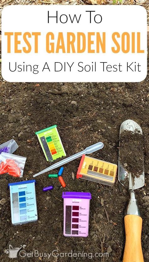 For best results, take nutrient tests in the late summer or early fall. How To Start A Vegetable Garden | Soil testing, Garden ...