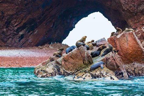 Tripadvisor Islas Ballestas Y Parque Nacional De Paracas Desde El