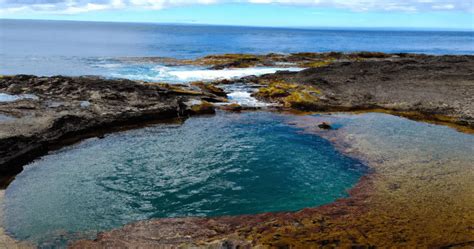 Mauis Top 5 Most Thrilling Tide Pools