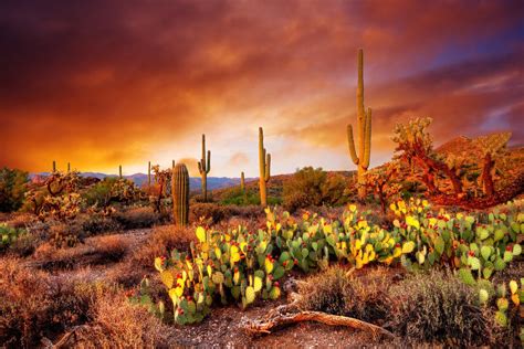 Arizona Desert Sunset Superstition Mountains 8 X 10 Photo Etsy