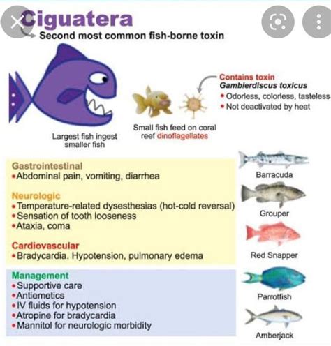 Ciguatera Fish Poisoning Medizzy